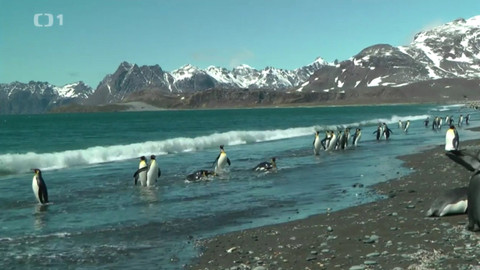 Objektiv - 20. listopadu 2016