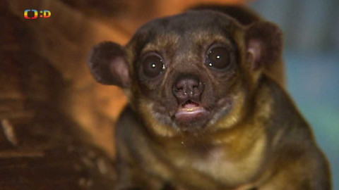 Zprávičky - 20. února 2020