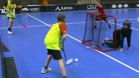 Lvíčata - 28. března