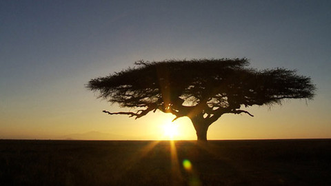 Objevování Afriky - Epizoda 3/5