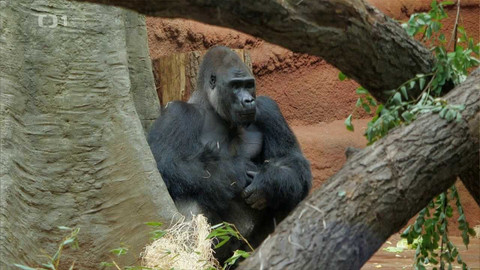 Toulavá kamera - 6. listopadu 2022