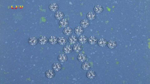 Co všechno umí počasí - 9/13 Sníh