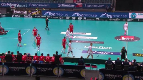 Florbal - Česko - Švýcarsko