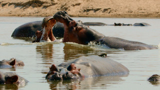 Andy a cesta kolem světa