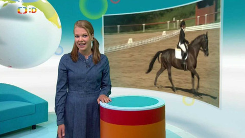 Zprávičky - 17. července 2017