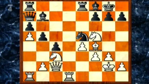 V šachu - 28. května 2010