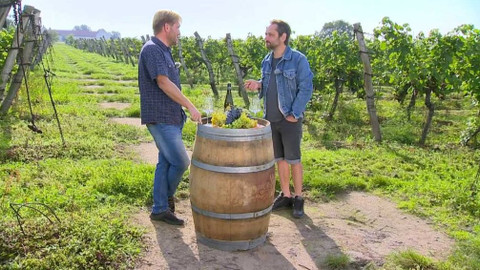 Polopatě - 27. září 2020