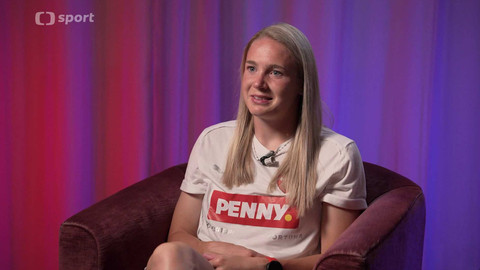 Lvice mimo hřiště - Tereza Krejčiříková