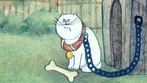 Pestrý život jedné kočky - Kočka je u vody