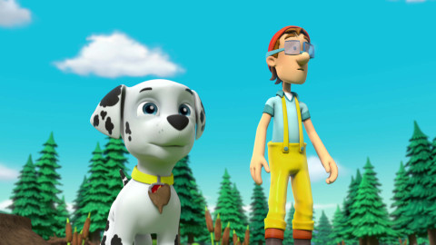 Tlapková patrola - Tlapky zachraňují velkého chlupáče / Tlapky zachraňují létající kotě