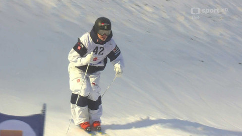 Světový pohár ve freestyle lyžování - SP Švédsko