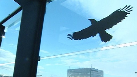 Chcete mě? - 10. prosince 2008