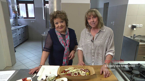 Hobby naší doby - Hobby naší doby - letní speciál