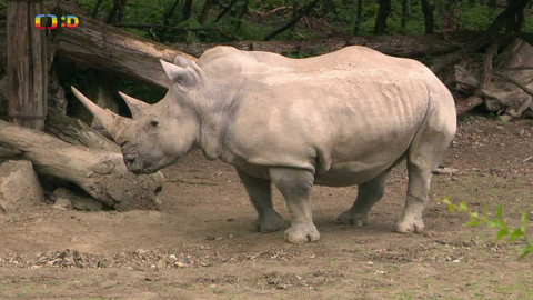 Terčin zvířecí svět - 13. září 2024