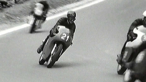 Archiv D - Homo Moto Brněnsis