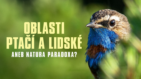 Oblasti ptačí a lidské aneb Natura paradoxa?