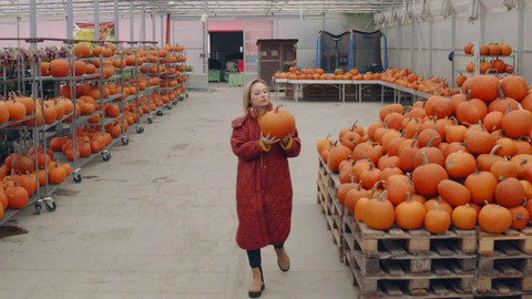 S vůní tradice - 1/6 Dýně