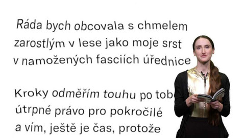 Jedna báseň - Jana Orlová