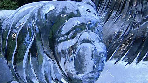 Objektiv - 9. ledna 2005