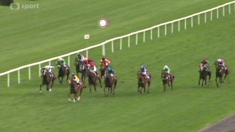 Turf - 23. září 2015