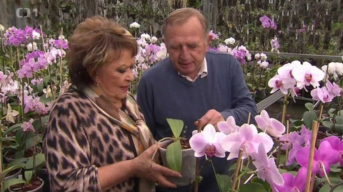 Hobby naší doby - 3. února 2018