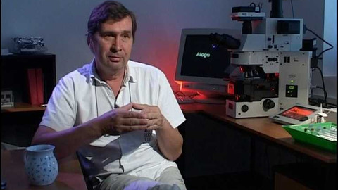 Popularis - 16. října 2003