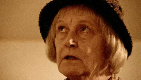 Království - 2/4 Tažní ptáci