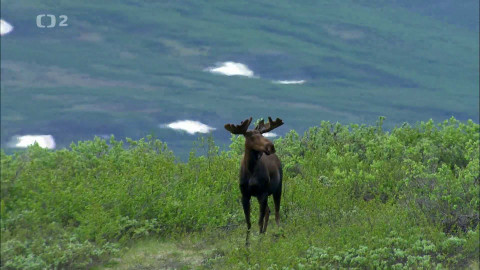 Dobrodružství vědy a techniky - Hory, lesy a ledovce