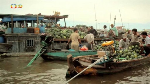 Cestohrátky - Jižní Vietnam
