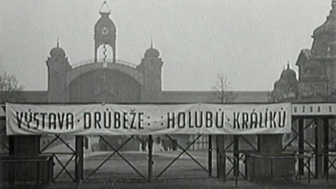 Archiv ČT24 - Co zažilo staré Výstaviště