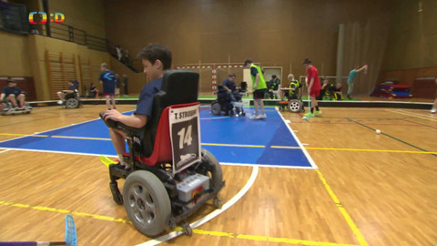 Zprávičky - 23. března