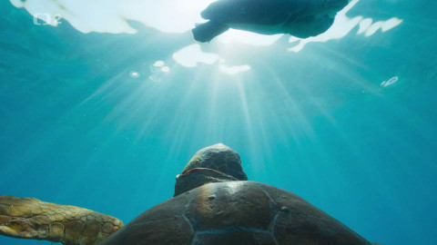 Středomoří – soužití člověka a přírody - Dobrodružství s kamerou ve Středozemním moři