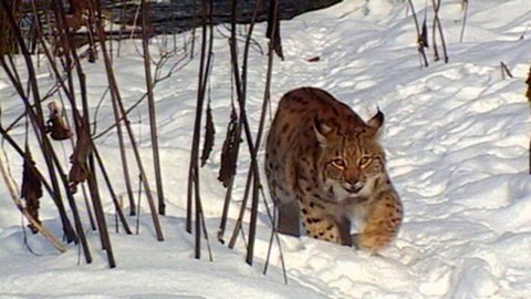 Objektiv - 15. března 2009