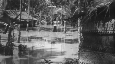 Televizní noviny - 11. srpna 1968