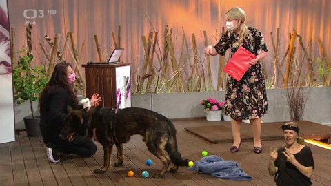 Život na třetí - 23. dubna 2020