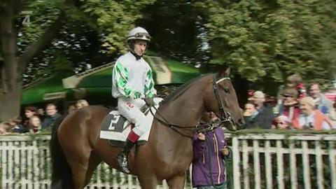 Turf - 25. září 2012