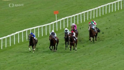 Turf - 8. dubna 2015