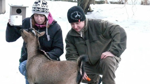 Malá farma - Kozy nebo ovce?