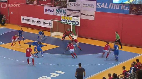 Hokej na zemi - 29. ledna 2016