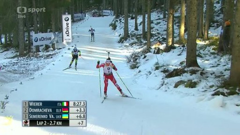 Světový pohár v biatlonu - Pokljuka (Slovinsko)