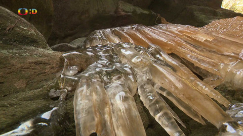 Zprávičky - 11. ledna