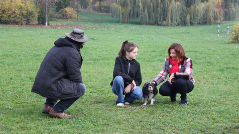 Kočka není pes - Hluchá Aida a hlučná Madlenka