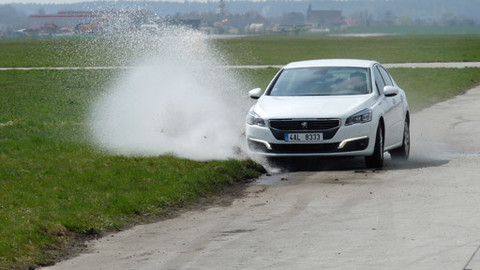 Besipky - Mladí versus zkušení