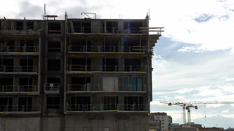 Nedej se! - Ani kočka, ani pes