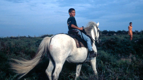 Můj mazlíček - 10/26 Justin a jeho kůň
