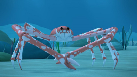 Leo, strážce přírody - Velekrab japonský