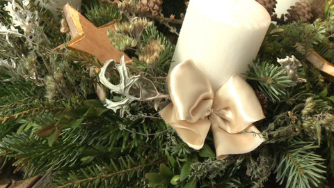 Toulavá kamera - 28. listopadu 2021