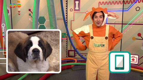 Telefon - 3. března 2017