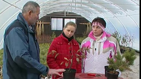 Zahrada je hra - 26. listopadu 2006