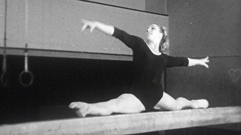 Archiv D - Zlatá Věra